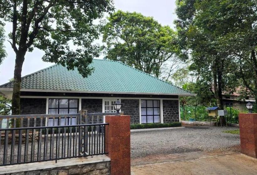 Bed and Breakfast Wild Orchid