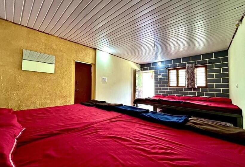 Gold Finn Resorts By Stayapart