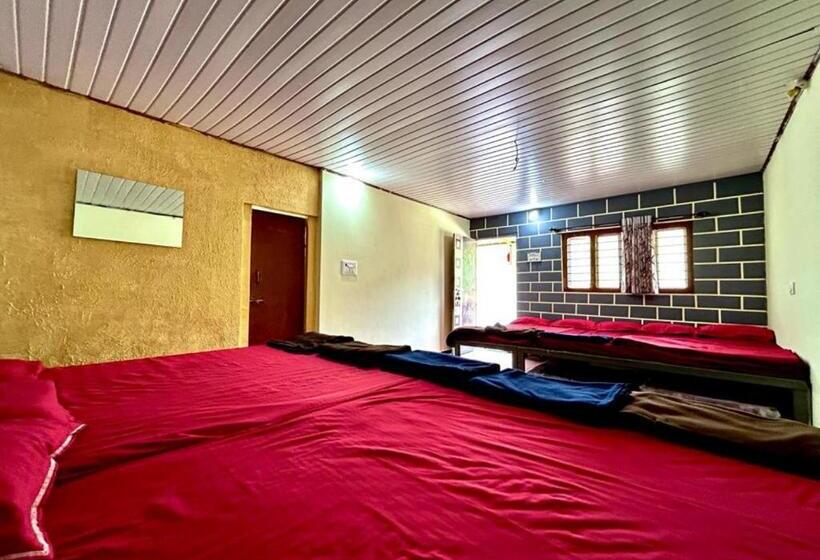 Gold Finn Resorts By Stayapart