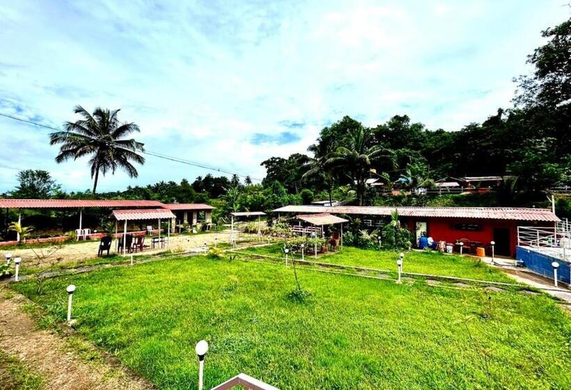 Gold Finn Resorts By Stayapart