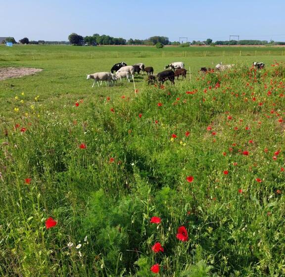 酒店 Boerderijkamer De Delle