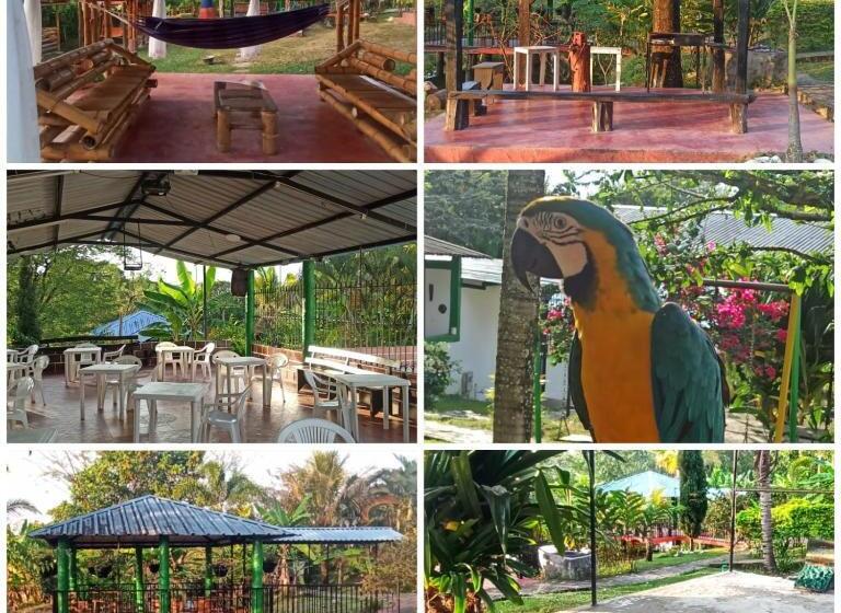 בית מלון כפרי Casa Campestre Villa Luisa