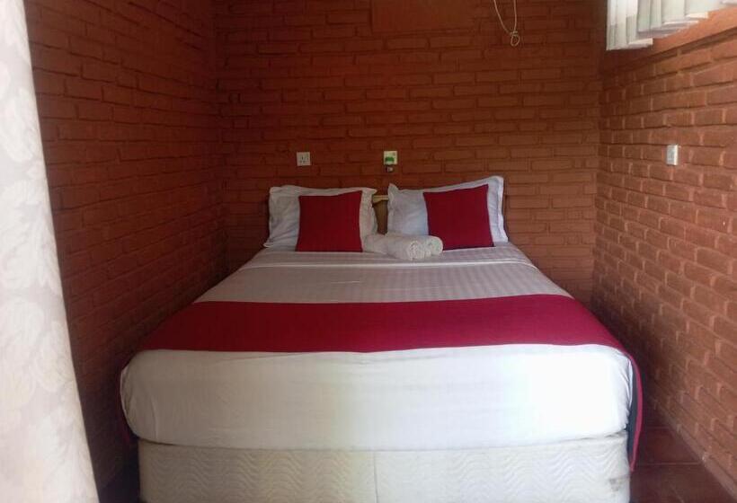 Отель Cielstar Resort