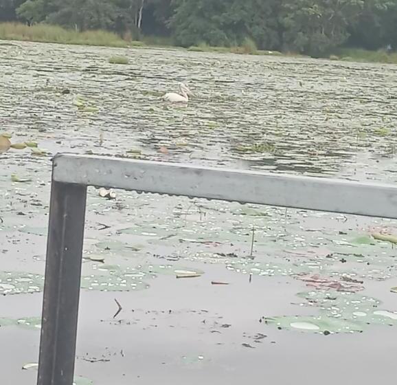 Отель Cielstar Resort