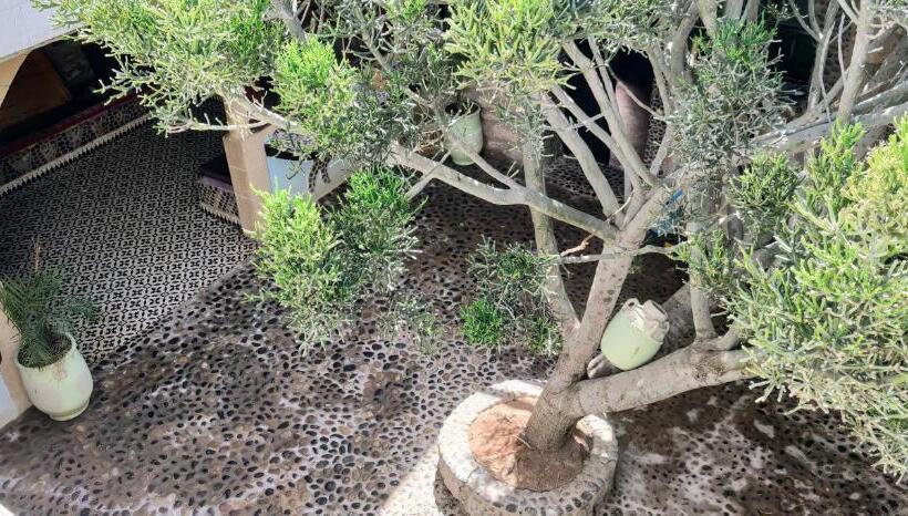 فندق Dar Afoulky Maison D Hotes