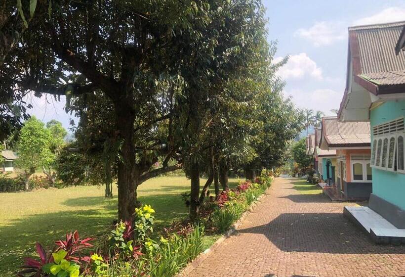 ホテル Gardena Resort