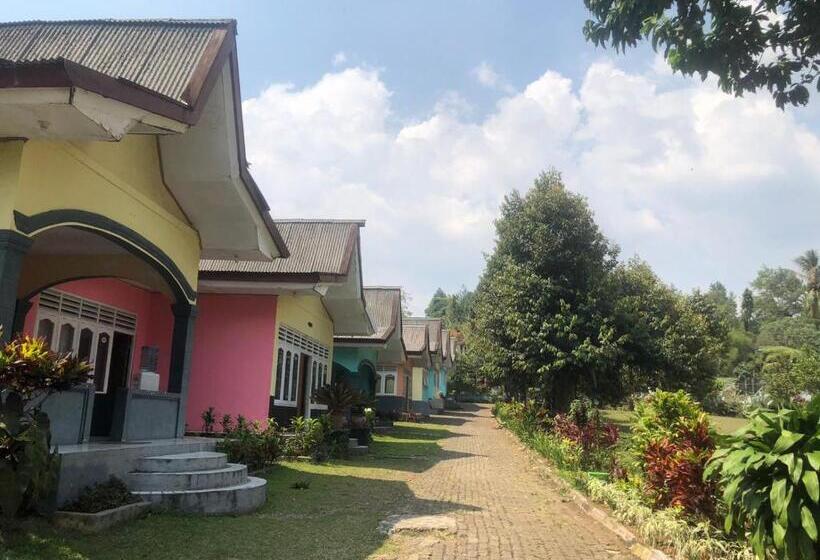 ホテル Gardena Resort