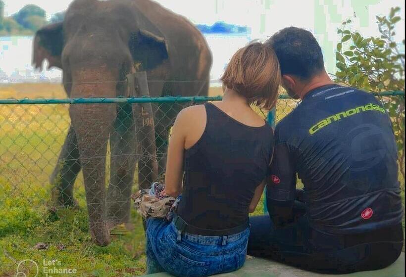 בית מלון כפרי Lake Park