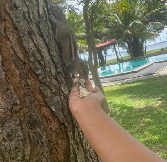 בית מלון כפרי Lake Park