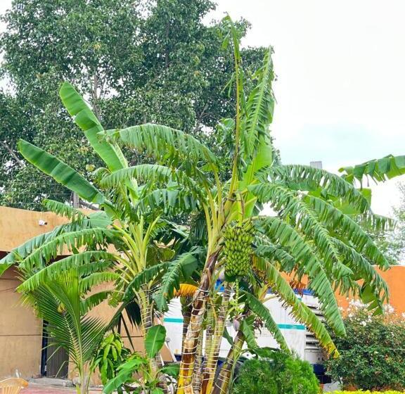 בית מלון כפרי Monroe Stay