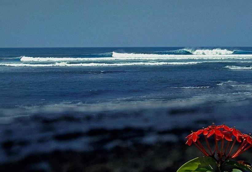 ホテル Oceanfront Bungalows   Paradise Rentals