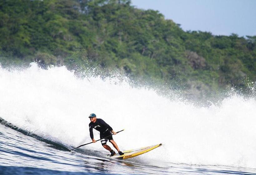 ホテル Oceanfront Bungalows   Paradise Rentals