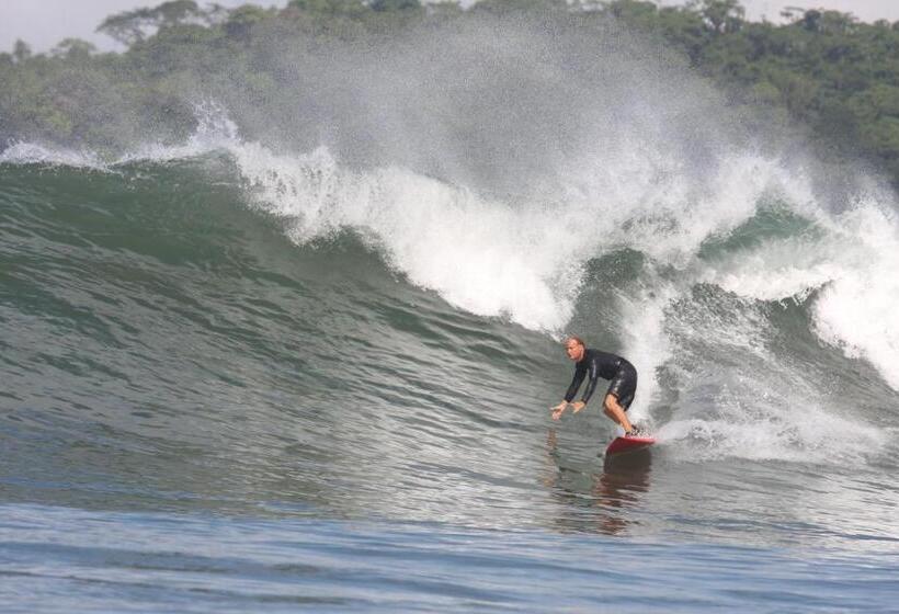 ホテル Oceanfront Bungalows   Paradise Rentals