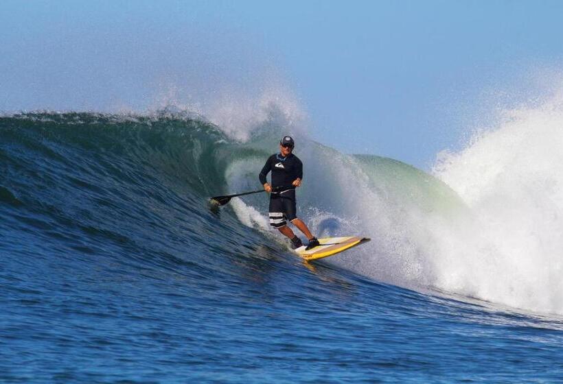 ホテル Oceanfront Bungalows   Paradise Rentals