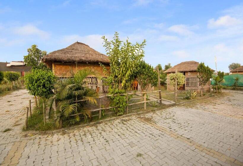 Отель Oyo Dream Guest House