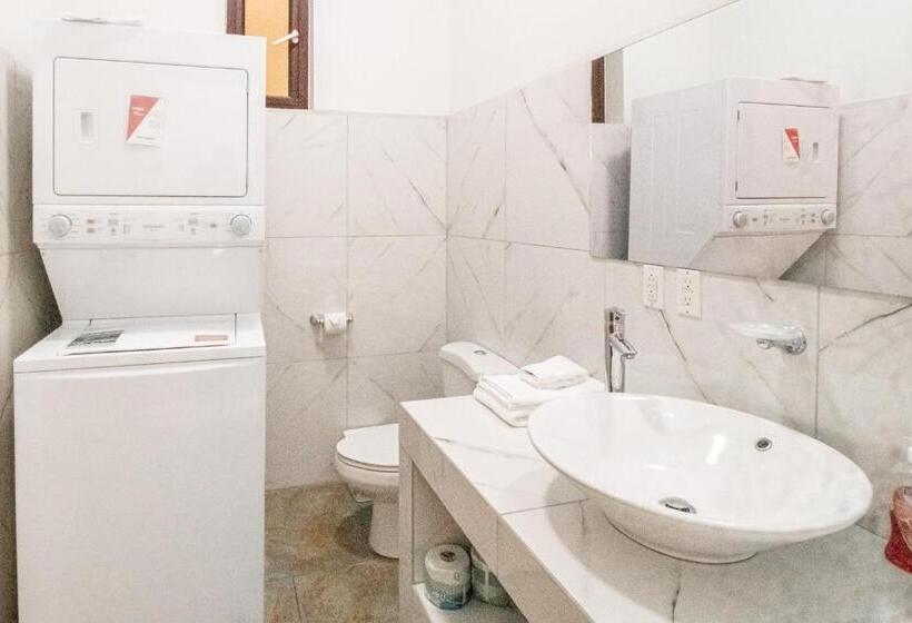 בית מלון כפרי Parrotfish @ Les Caraibes