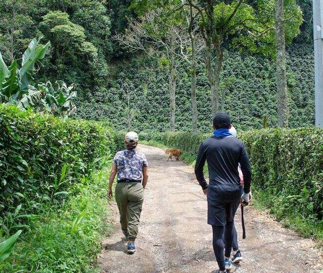 בית מלון כפרי Pradera Ecoliving