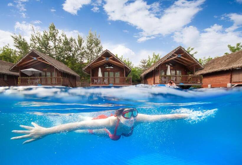 בית מלון כפרי Rainbow Valley Hot Spring