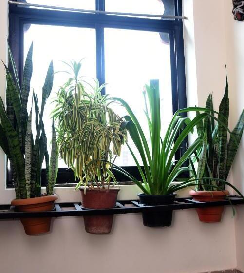 酒店 Unique Palace Room And Restaurant