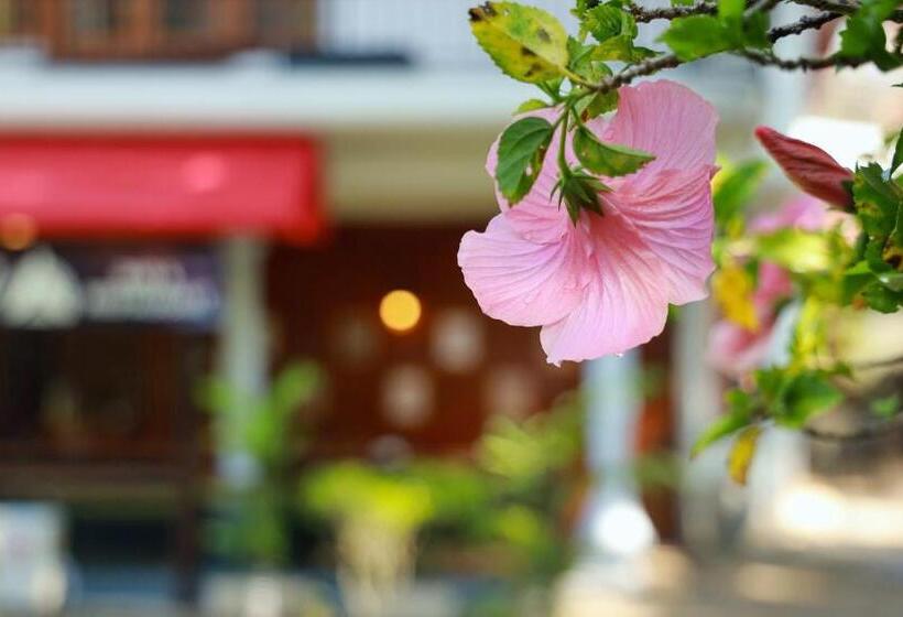 ホテル Wisdom Boutique Resort