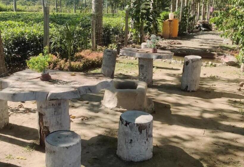 Jaldapara Tiamo Resort   A Family Resort By Stayapart