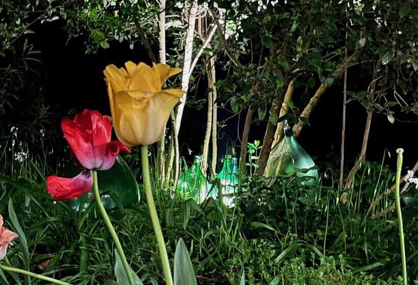 B&b Lo Scudaio Palazzo Marchionneschi