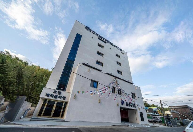 فندق على الطريق Cherryblossom