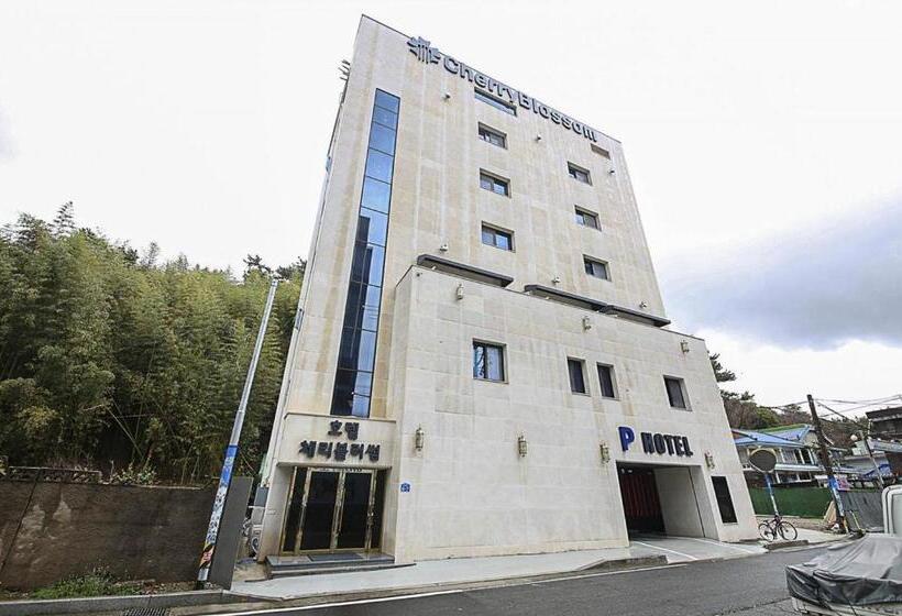 فندق على الطريق Cherryblossom