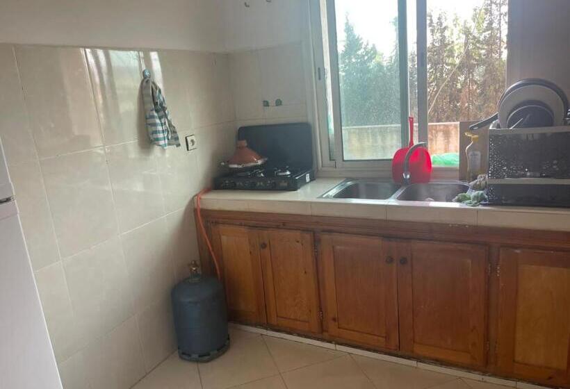 پانسیون تازة