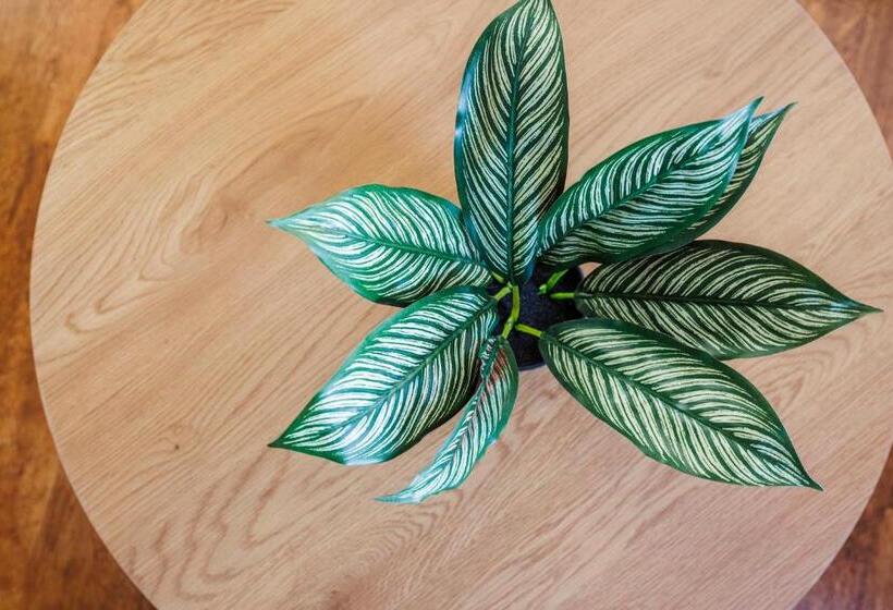 Пансион Beautiful Large Rooms In Ashford