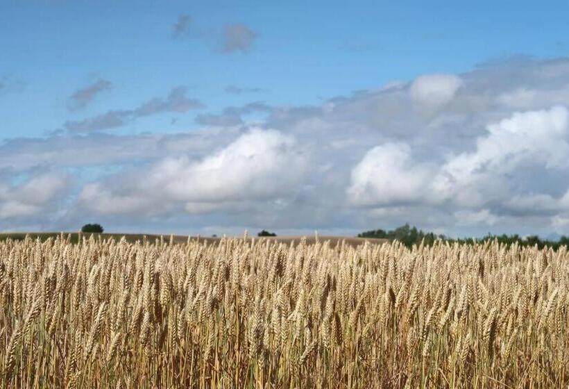 펜션 Cosy Guesthouse In The Countryside, With Breakfast