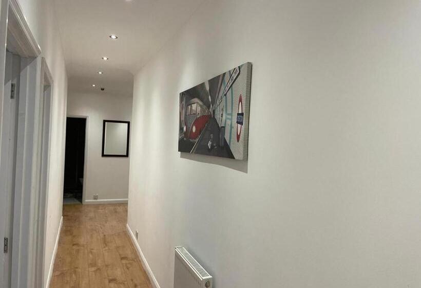 بنسيون Graceful House