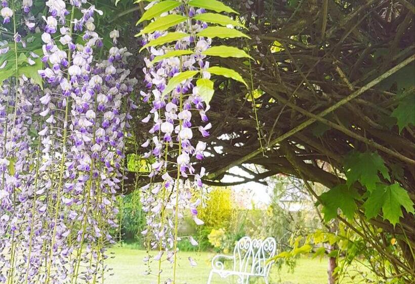 膳宿费 Charmante Maison D Hôtes Avec Piscine, Jardin Et Proximité Circuit Des 24h Le Mans Fr 1 410 405