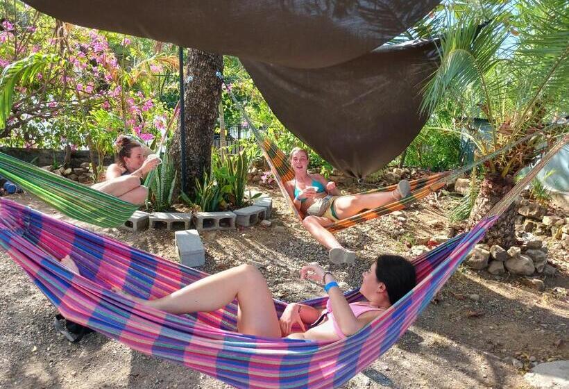 פנסיון Hostel Saltwater