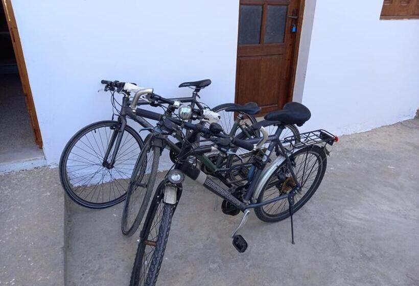 펜션 Maison D Hôtes Dar Driss