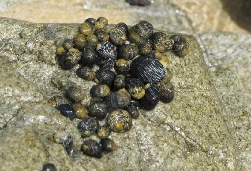 بنسيون Room In House   Double Bed, Queen Size, Small Kitchen, Terrace, Wi Fi  Air Condition