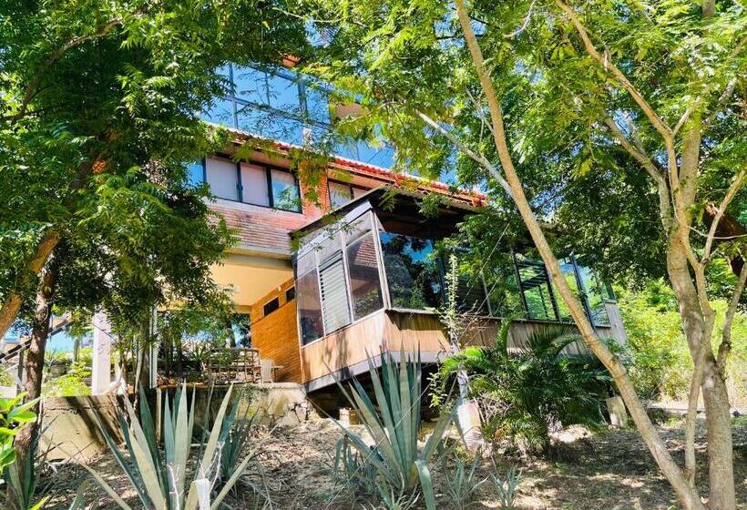 פנסיון Room In House   Double Bed, Queen Size, Small Kitchen, Terrace, Wi Fi  Air Condition