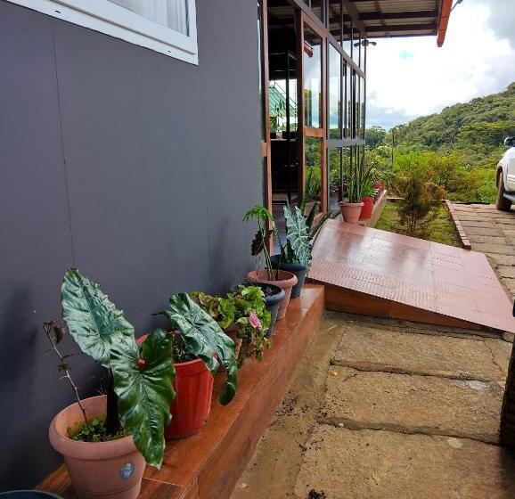 渡假胜地  Coorg Tree House