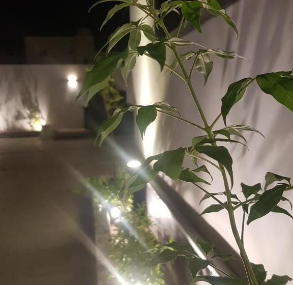 渡假胜地  مورايا Murraya