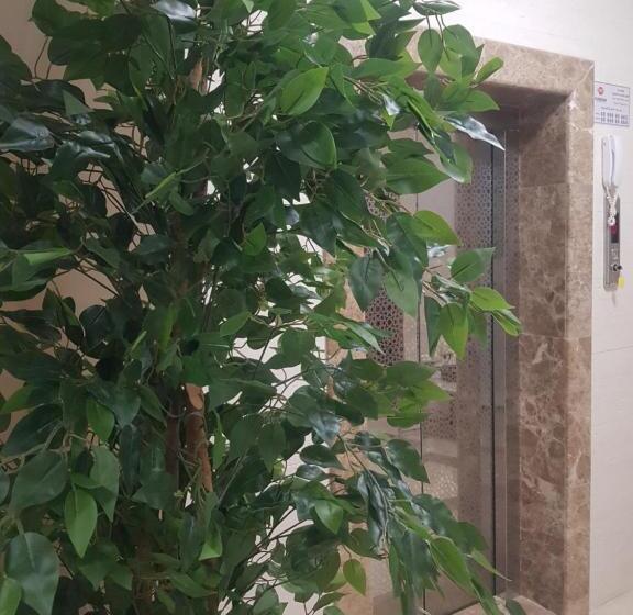 استراحتگاه مورايا Murraya