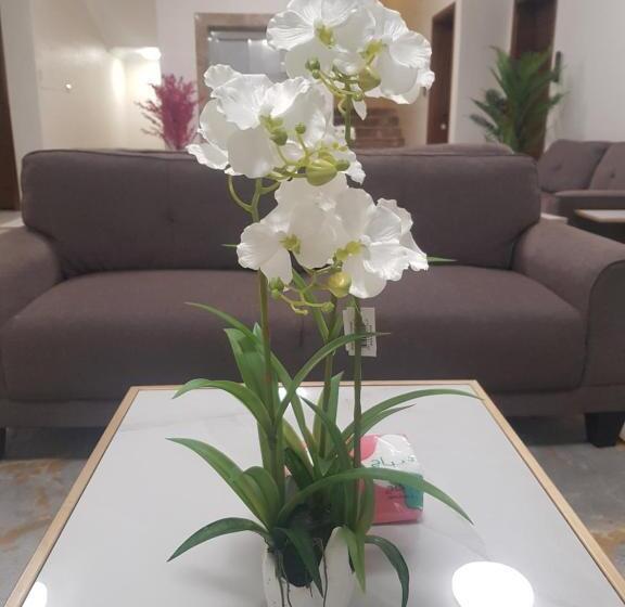 渡假胜地  مورايا Murraya