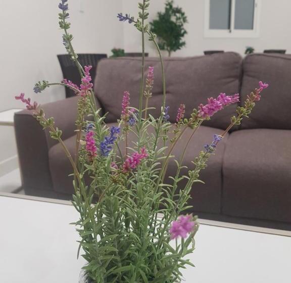 استراحتگاه مورايا Murraya