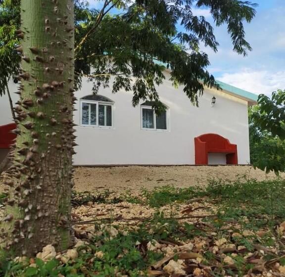 Valparaíso Selva Maya