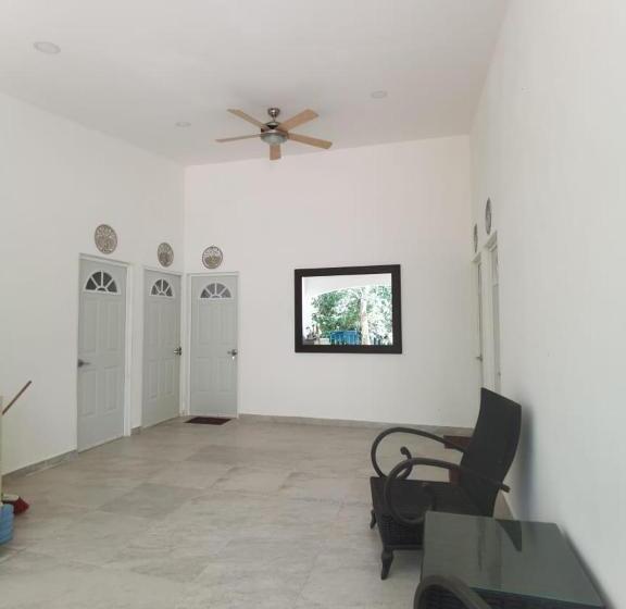 Valparaíso Selva Maya