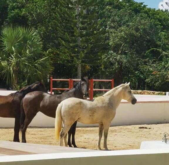 Valparaíso Selva Maya