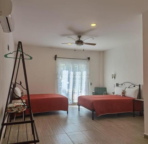 Valparaíso Selva Maya