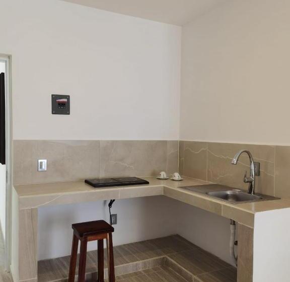 Valparaíso Selva Maya