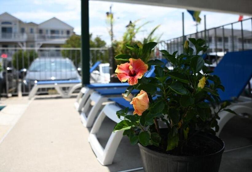 Grecian Garden Motel