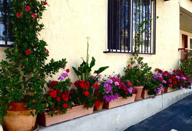 Harvey S Motel Sdsu La Mesa San Diego