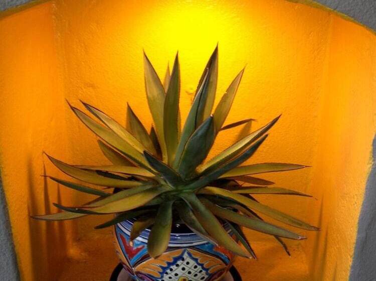 فندق Agave Inn